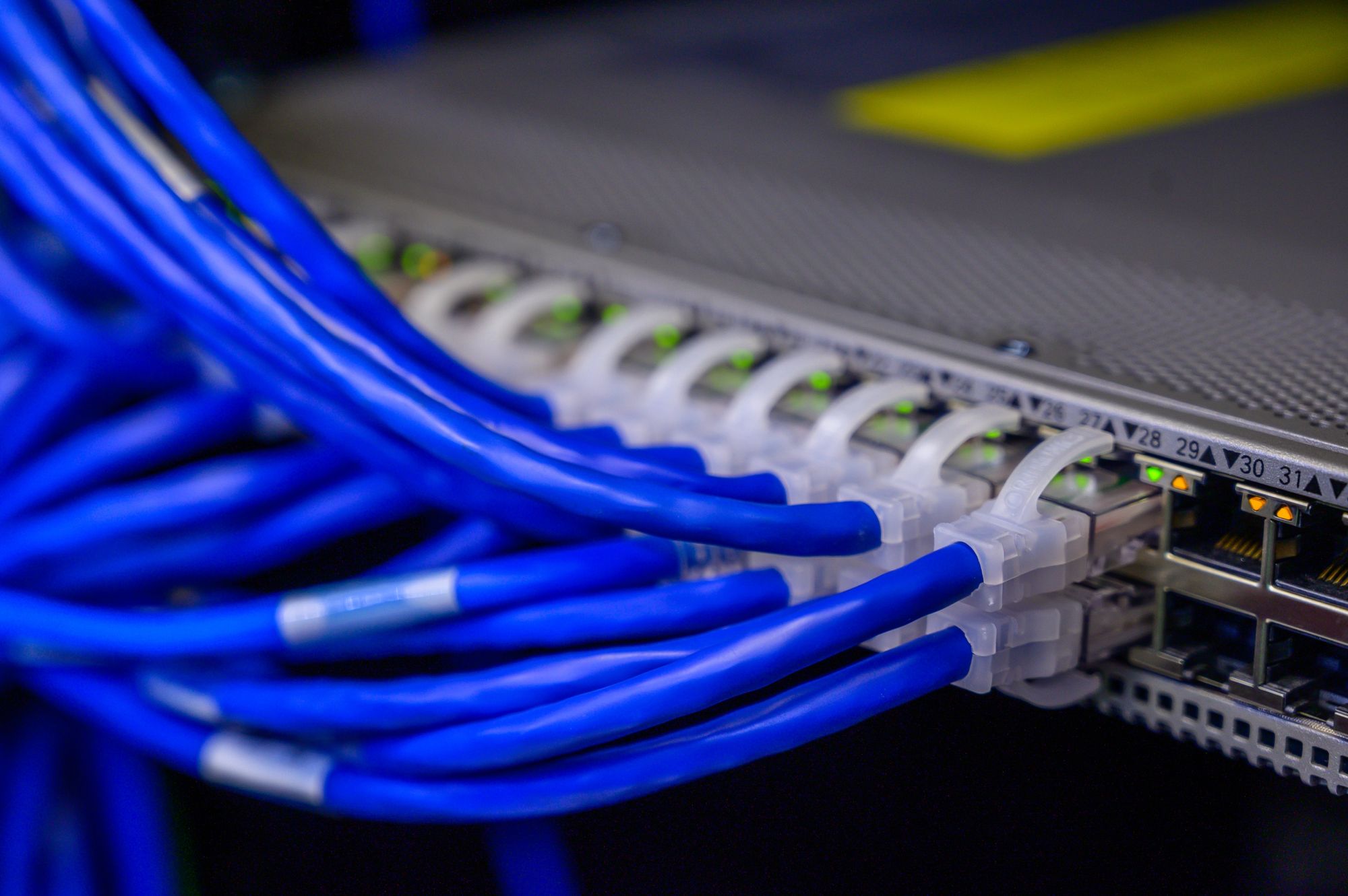 A couple dozen blue ethernet cables plugged into a switch.